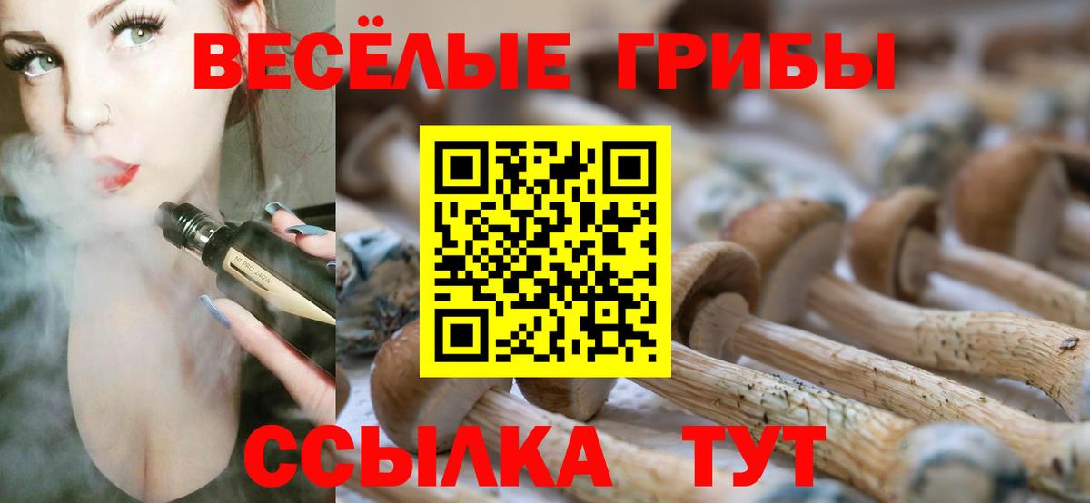Галлюциногенные грибы Cubensis Красноармейск